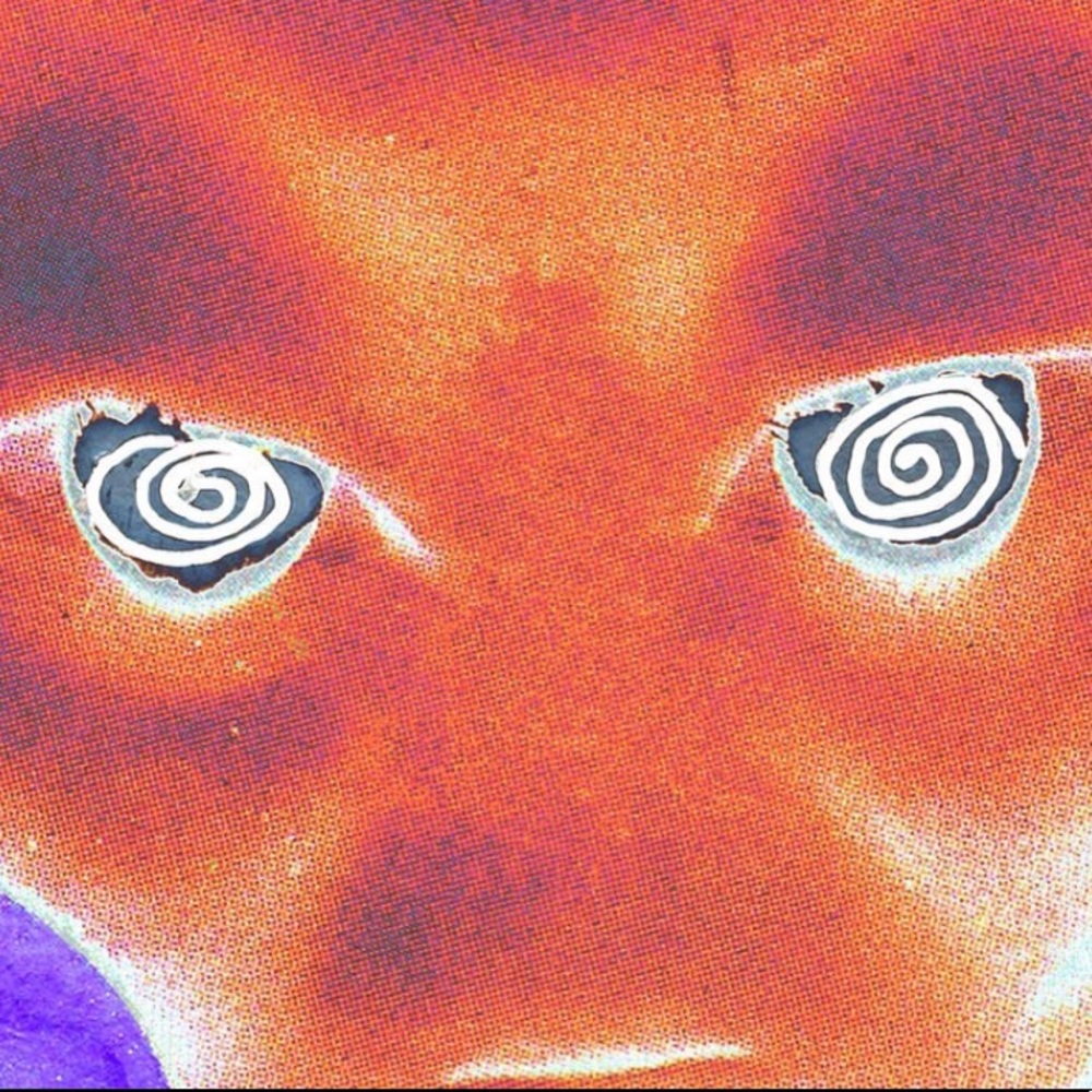 Meet your Posher, Benjamin